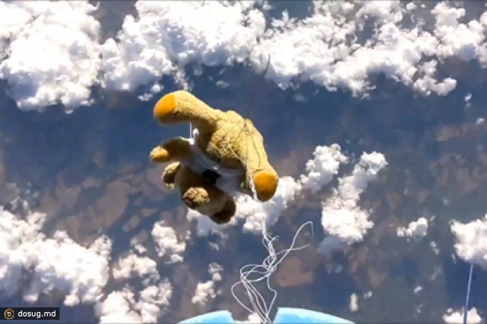 Прыжок плюшевого медведя из космоса
