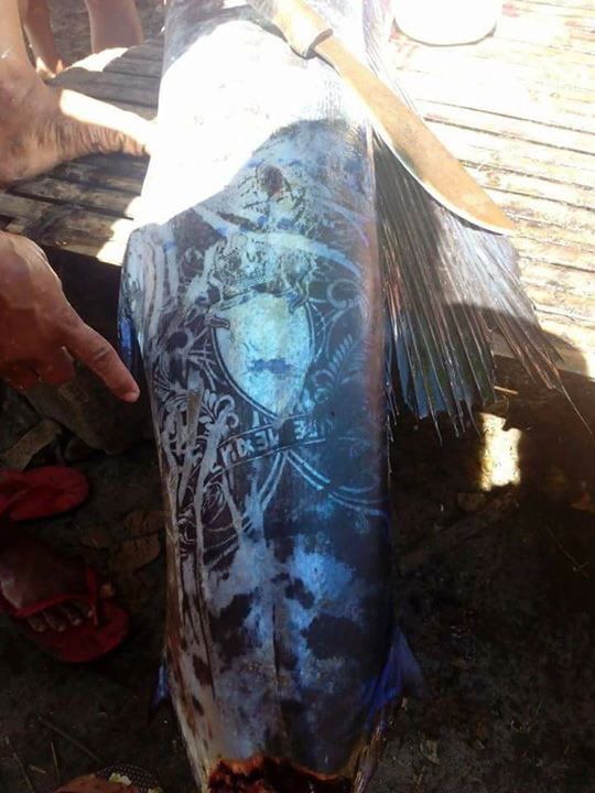 Филиппинские рыбаки выловили рыбу с татуировкой на всю спину