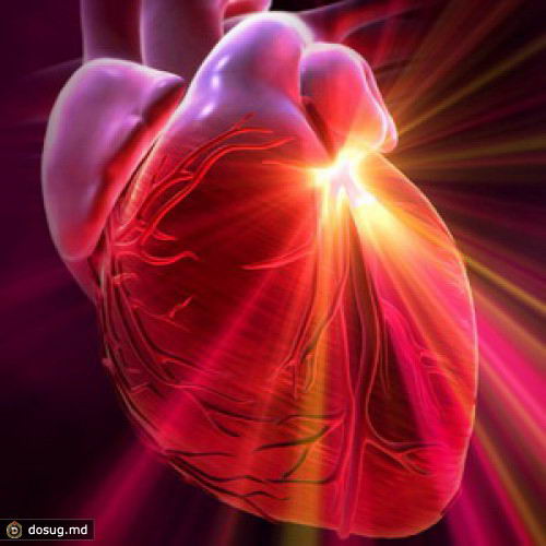 10 неоспоримых фактов о нашем сердце