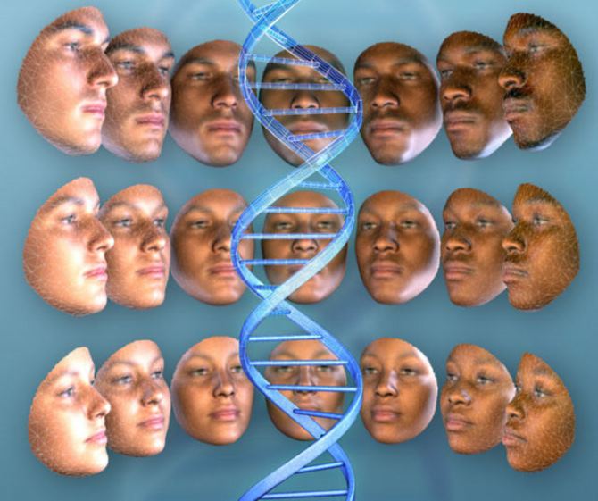 Ученые могут составлять фоторобот по ДНК