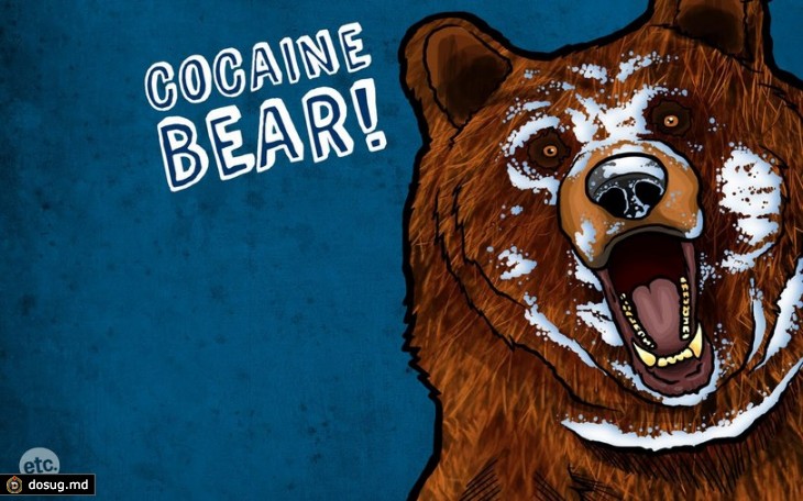 Медведь наркоман стал звездой интернета